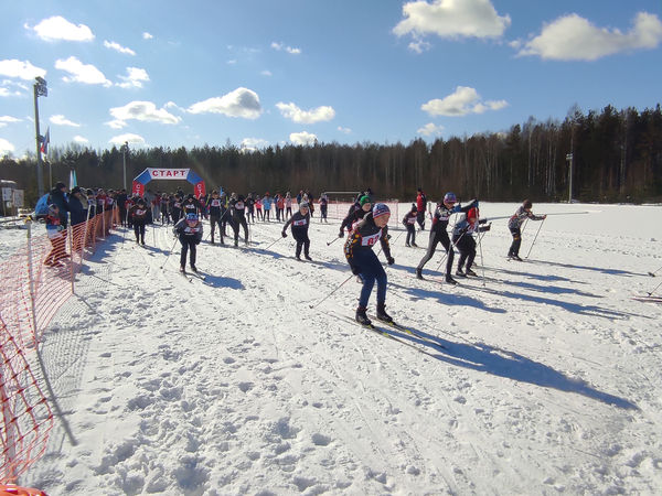 Лыжные гонки памяти П. С. Черкасова